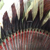 gamak motor